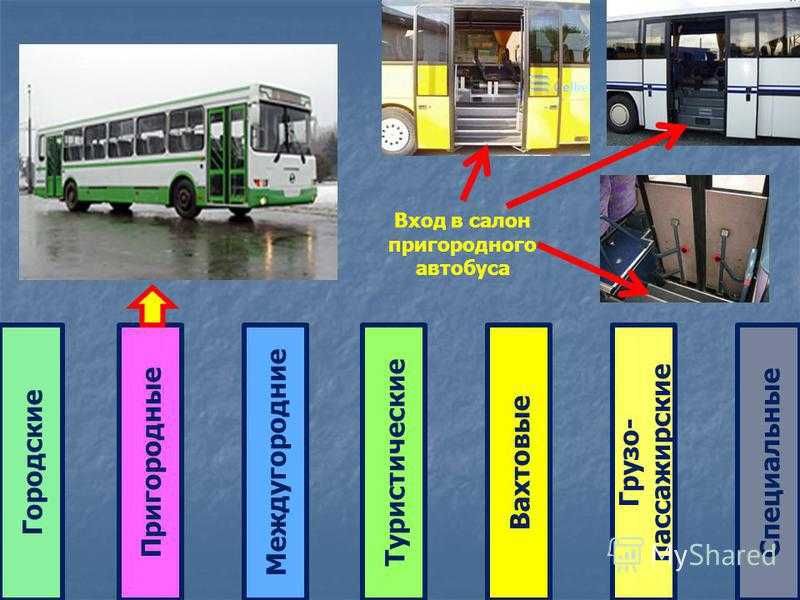 Автобус лаз-4202: история создания, подробное описание и устройство, модификации, основные сведения, технические, агрегатные и базовые характеристики