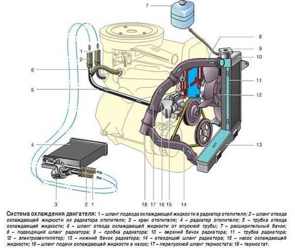 Схема системы охлаждения на ваз-2112 16 клапанов инжектор: фото