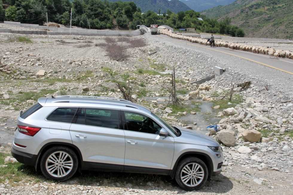 Tiguan Kodiaq