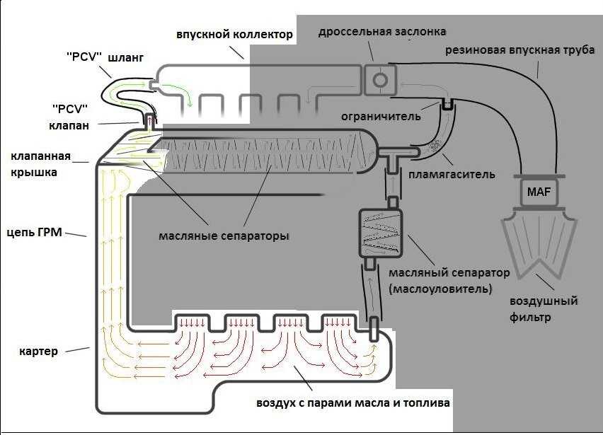 Что такое система вентиляции картера двигателя где находится назначение конструкция и схема клапан EGR мембрана и маслоотделитель принцип работы неисправности как почистить