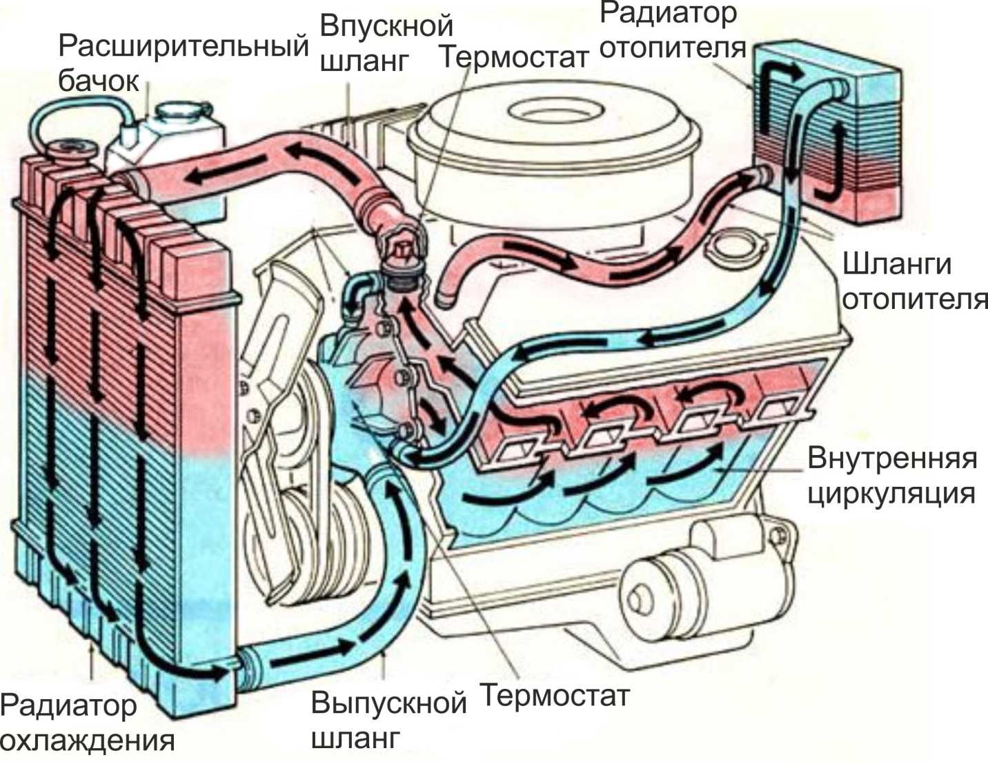 Описание и ремонт системы охлаждения двигателя ваз 2101, инструкции с фото и видео