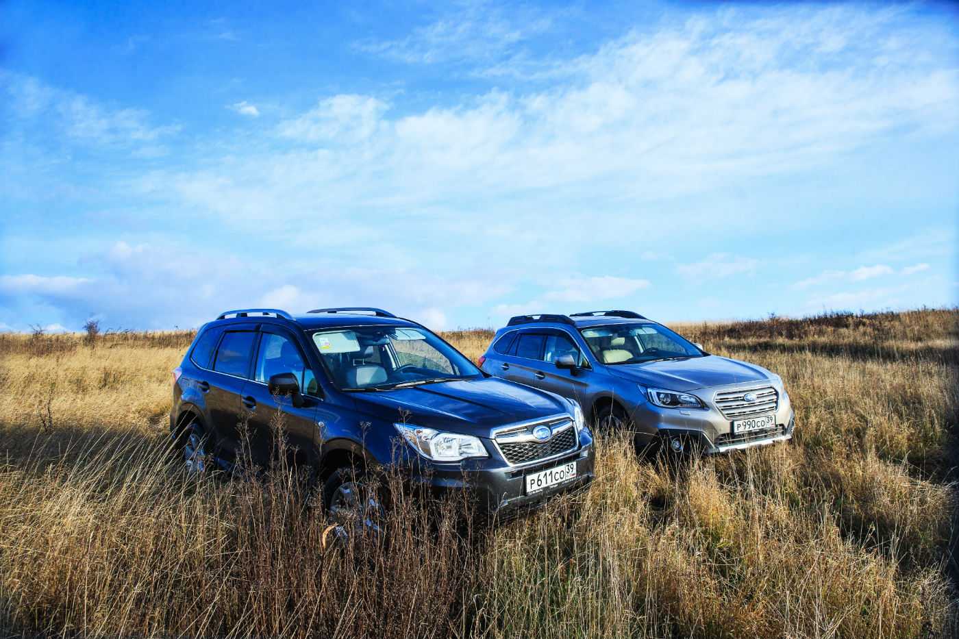 За 11 месяцев 2017 года компания Subaru продала на российском рынке автомобилей на общую сумму в 104 млрд рублей самыми популярными моделями стали Forester и Outback
