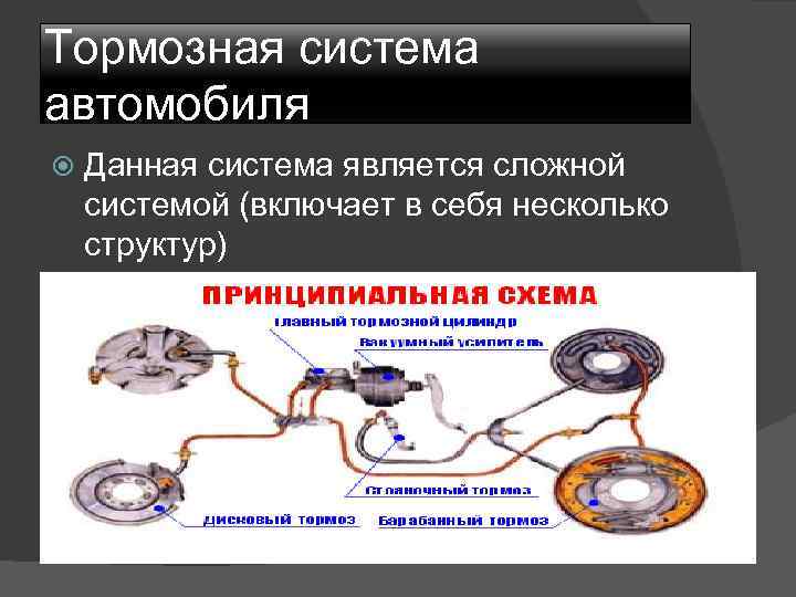 Виды тормозных механизмов автомобиля