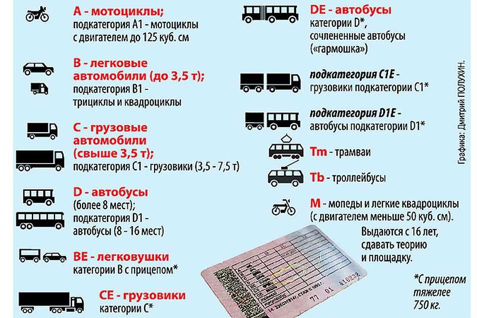 Тс расшифровка. Расшифровка категорий водительского удостоверения в1 и м. Категории водительских прав с расшифровкой м1. Категории водительских прав а1,в1,с1. Категории транспортных средств в водительском удостоверении.