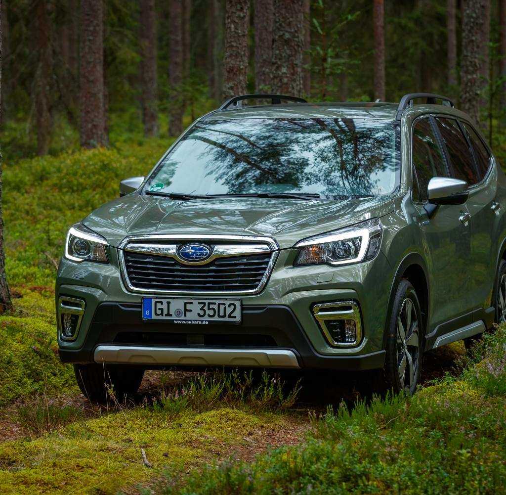 Subaru forester 2019: фото, цена, комплектации, старт продаж в россии